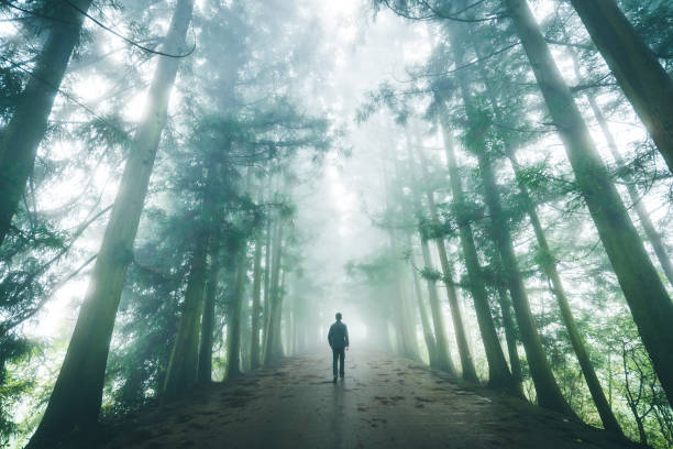 istock Man walking on foggy road 1182359109