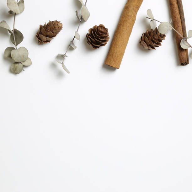 istock Autumn decoration. Dry pine cone, leaves, cinnamon on white background 1182359202