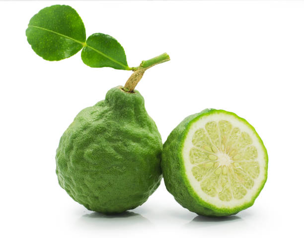 Fresh bergamot fruit isolated on white background Fresh bergamot fruit isolated on white background kaffir stock pictures, royalty-free photos & images