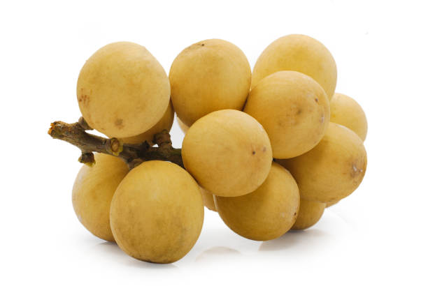 istock Longkong fruits isolated on white background 1182360179