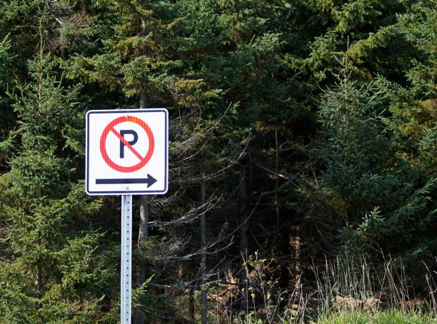 istock No parking on the right side on a forest background 1182363226