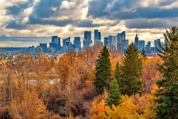 istock City Skyline In Fall 1182365197
