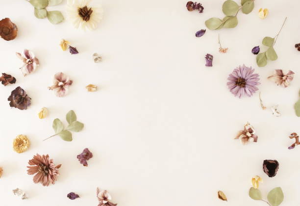 istock Flowers background. Composition from dried flowers and eucalyptus leaves pattern on white backdrop.Top view, flat lay. Copy space 1182365916