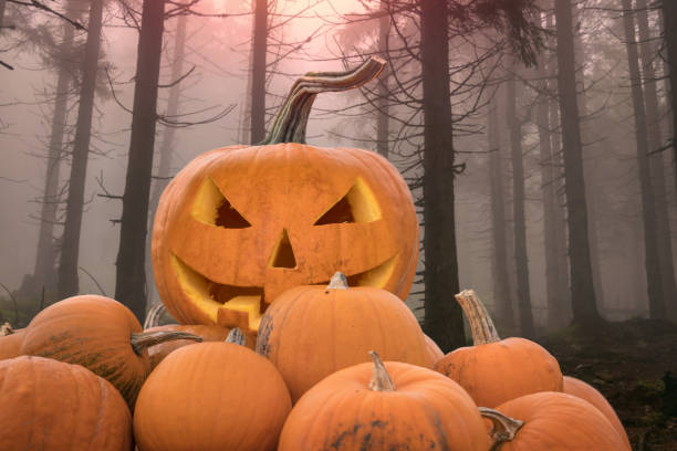 istock Halloween pumpkins in a spooky forest 1182366998