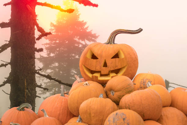 istock Halloween pumpkins in a spooky forest 1182367009