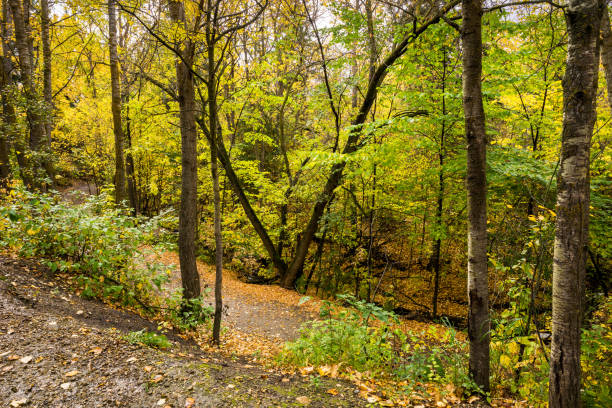 istock Mill creek ravine park, Edmonton 1182369805