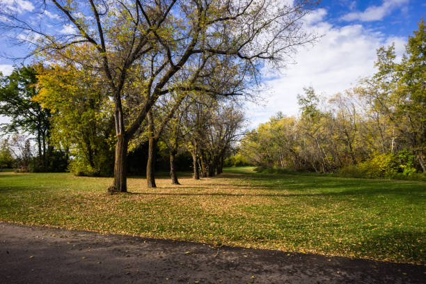 istock Near Fort Edmonton Footbridge 1182369886