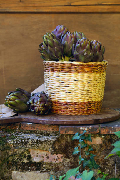 istock purple vegetables artichokes 1182370129