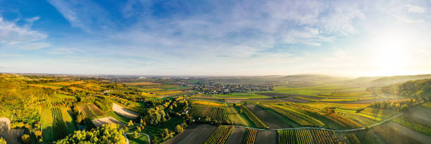 オーストリア・ヴィンヴィエルテル地域のカラフルなブドウ畑の空中ドローンビュー - pinot noir grape merlot grape cabernet sauvignon grape grape ストックフォトと画像