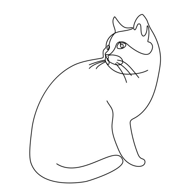 ilustrações, clipart, desenhos animados e ícones de desenho de linha contínua. gato. ilustração do vetor. na cor preta isolada no fundo branco. - um animal