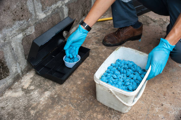 미끼 독 상자, 업계에서 해충 방제를 사용하여 쥐를 제거하십시오. - 통발 농업 장비 뉴스 사진 이미지