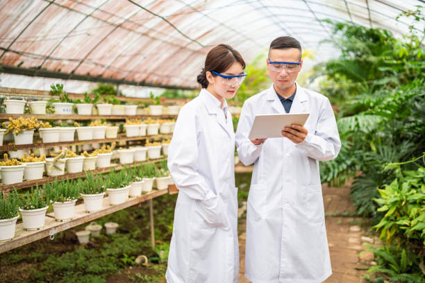 istock Asian scientists using a digital tablet in a greenhouse 1182376110