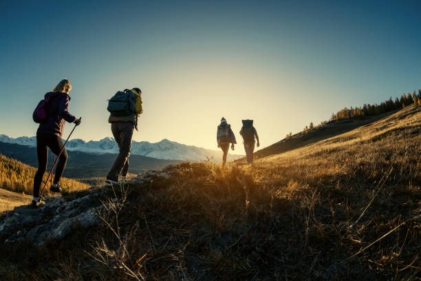 Group of hikers walks in mountains at sunset stock photo