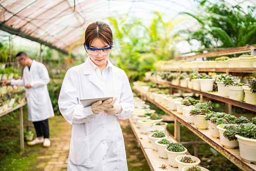 Female scientist using a digital tablet in a greenhouse.