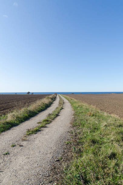 istock Country road to the coast 1182382192