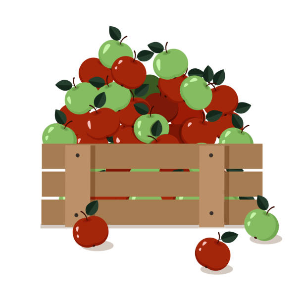 나무 상자에 빨간색과 녹색 사과. 벡터 그래픽 - basket apple wicker fruit stock illustrations