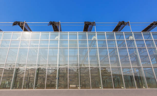 istock Close-up of steel structure greenhouse structure 1182384839