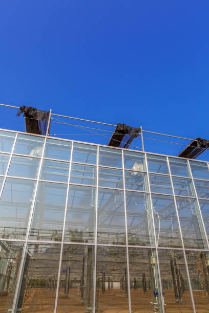 istock Close-up of steel structure greenhouse structure 1182385100
