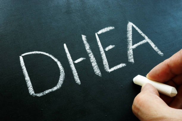 istock Dehydroepiandrosterone DHEA hormone and formula on the blackboard. 1182386656