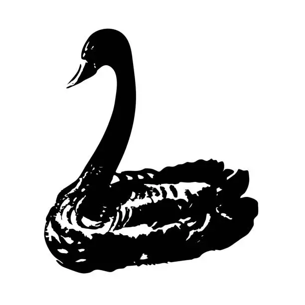 Vector illustration of Hand-drawn sketch bird. Black Silhouette of a swan.