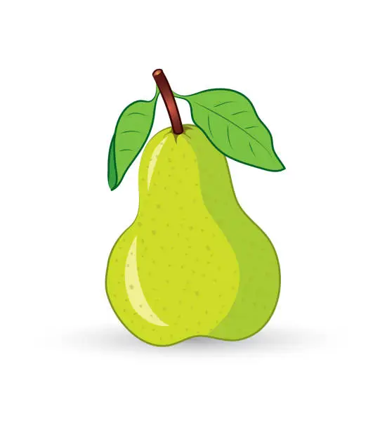Vector illustration of Green fresh pear vektor illustration