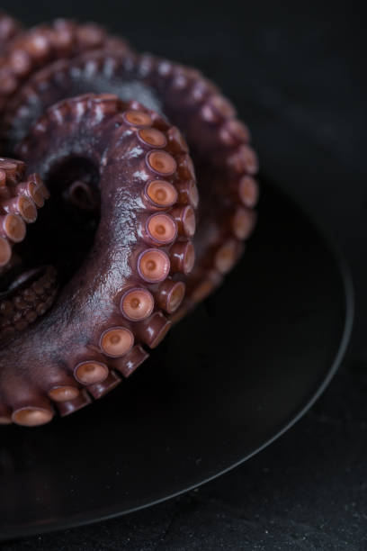 istock Octopus on a plate on a dark background 1182391252