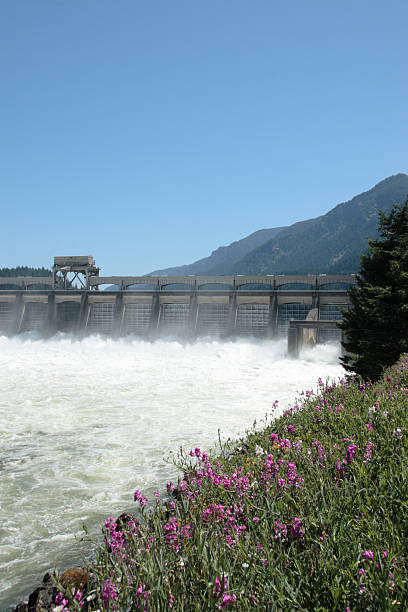 istock Bonneville Dam 118239172