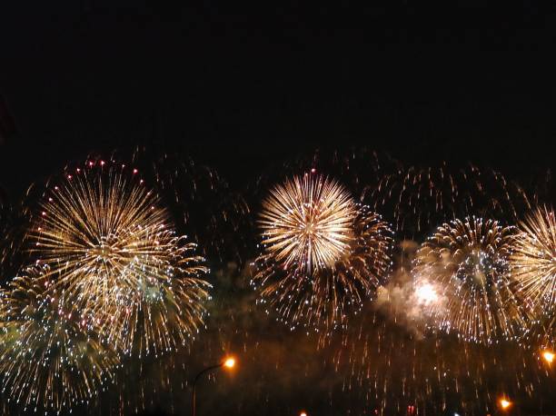 istock Fireworks Blooming in the Night Sky 1182395599