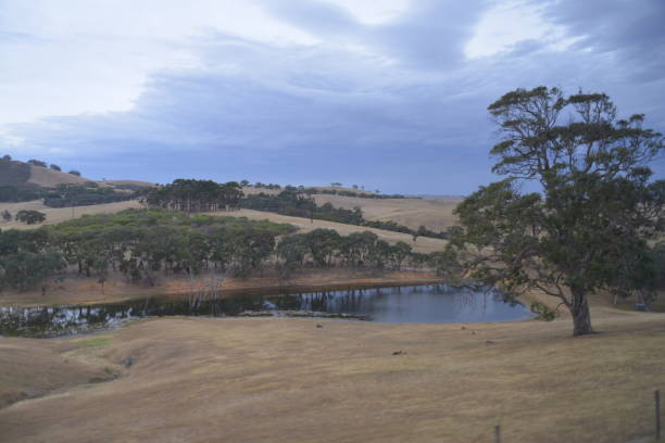 istock travel in Australia 1182395657