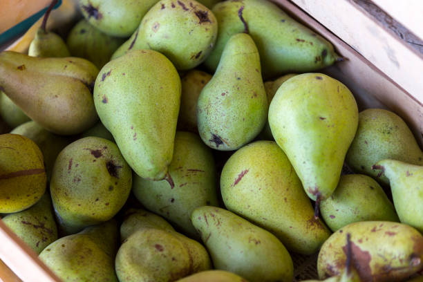 istock basket of fresh pears 1182396259