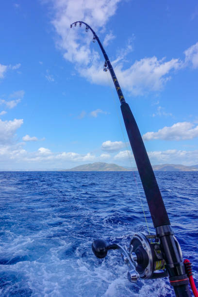 istock Fishing reel and rod against the blue sky 1182397497