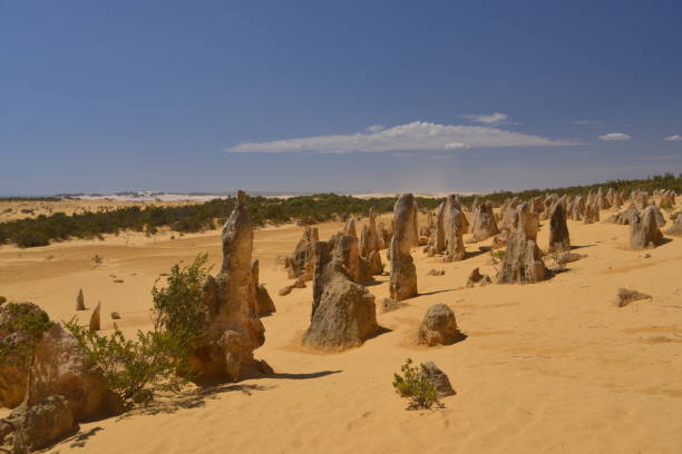 istock travel in Australia 1182399951