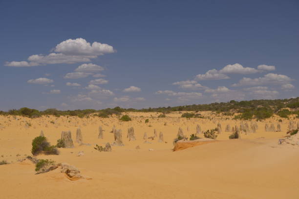 istock travel in Australia 1182399998