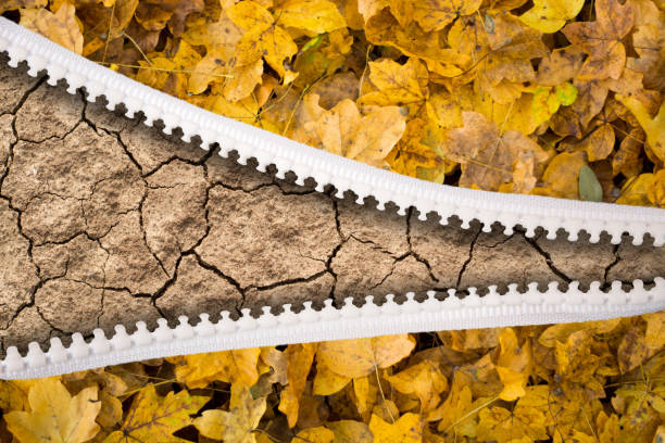 istock open zipper yellow leaf and dry land 1182401603