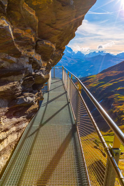 istock Cliff Walk in Grindelwald First, Switzerland 1182403521