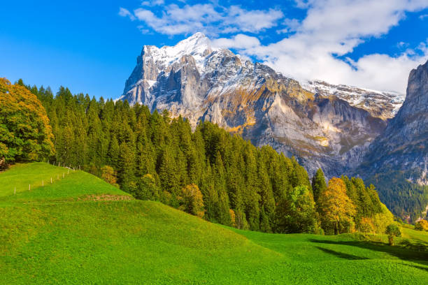 istock Grindelwald, Switzerland valley and mountains view 1182403588