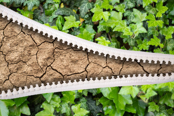 istock open zipper green leaf and dry land 1182404430