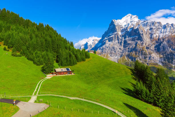 istock Grindelwald, Switzerland village and mountains view 1182404803