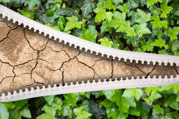 istock open zipper green leaf and dry land 1182405060