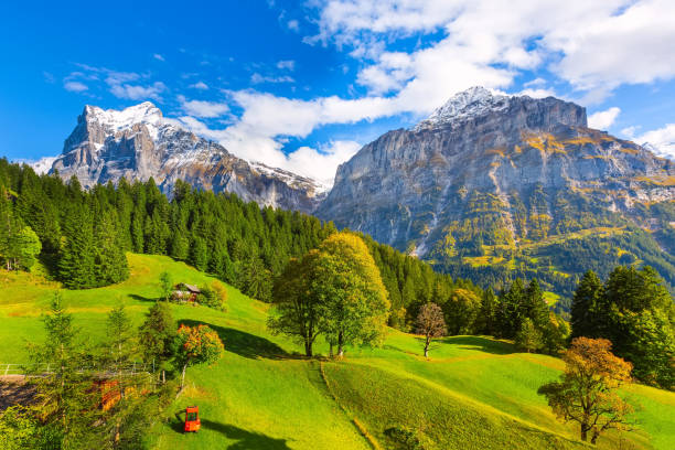 istock Grindelwald, Switzerland village and mountains view 1182405170