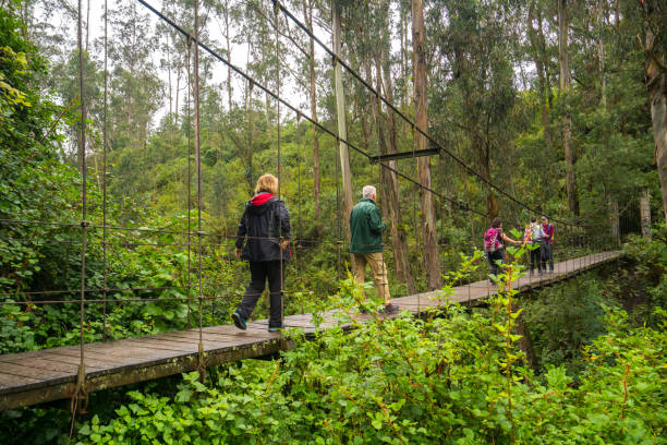 エクアドルのオタバロ近郊の滝ペグシュから来る川に架かる吊り橋を渡る観光客。 - オタバロ ストックフォトと画像