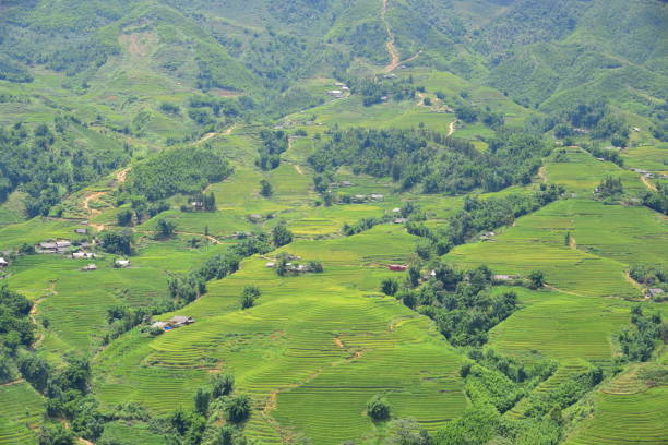 istock travel in Vietnam 1182406935