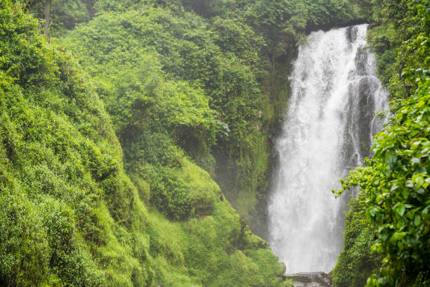 istock Waterfall Peguche, near Otavalo, Ecuador. 1182408038
