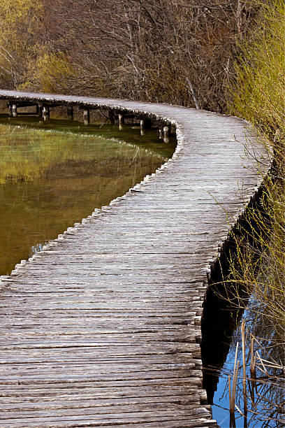 percorso di legno - plitvice lakes national park water lake national park foto e immagini stock