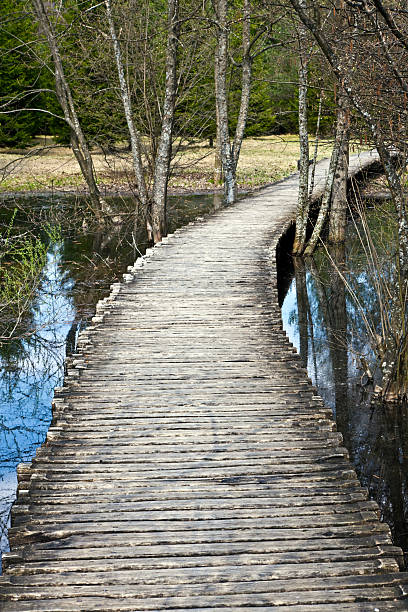 sentiero in legno - plitvice lakes national park water lake national park foto e immagini stock