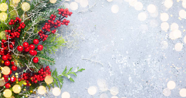Christmas or winter background with a border of evergreen branches and red berries Christmas or winter background with a border of green and frosted evergreen branches and red berries on a grey vintage board. Flat lay, winter concept with copy space. holidays and seasonal stock pictures, royalty-free photos & images