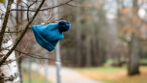 istock Lost winter hat on tree branches. Windy, rainy autumn day 1182415748