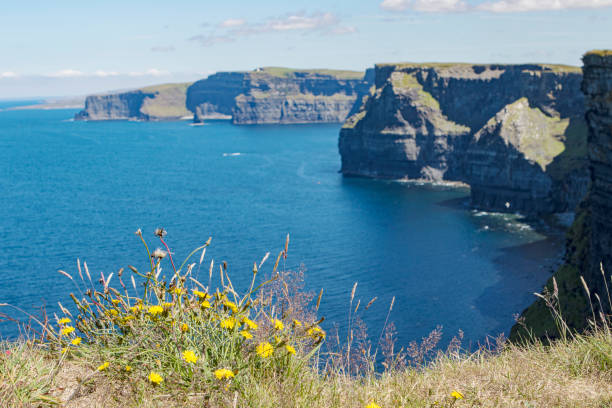 berühmte moher-klippen in westirland - republic of ireland cliffs of moher cliff galway stock-fotos und bilder