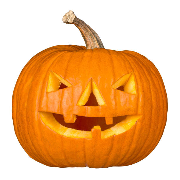 Freshly Carved Jack-o-Lantern Pumpkin Isolated on White background