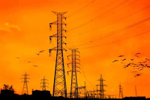 power lines over sunset and birds flying.